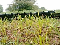 20100604 015